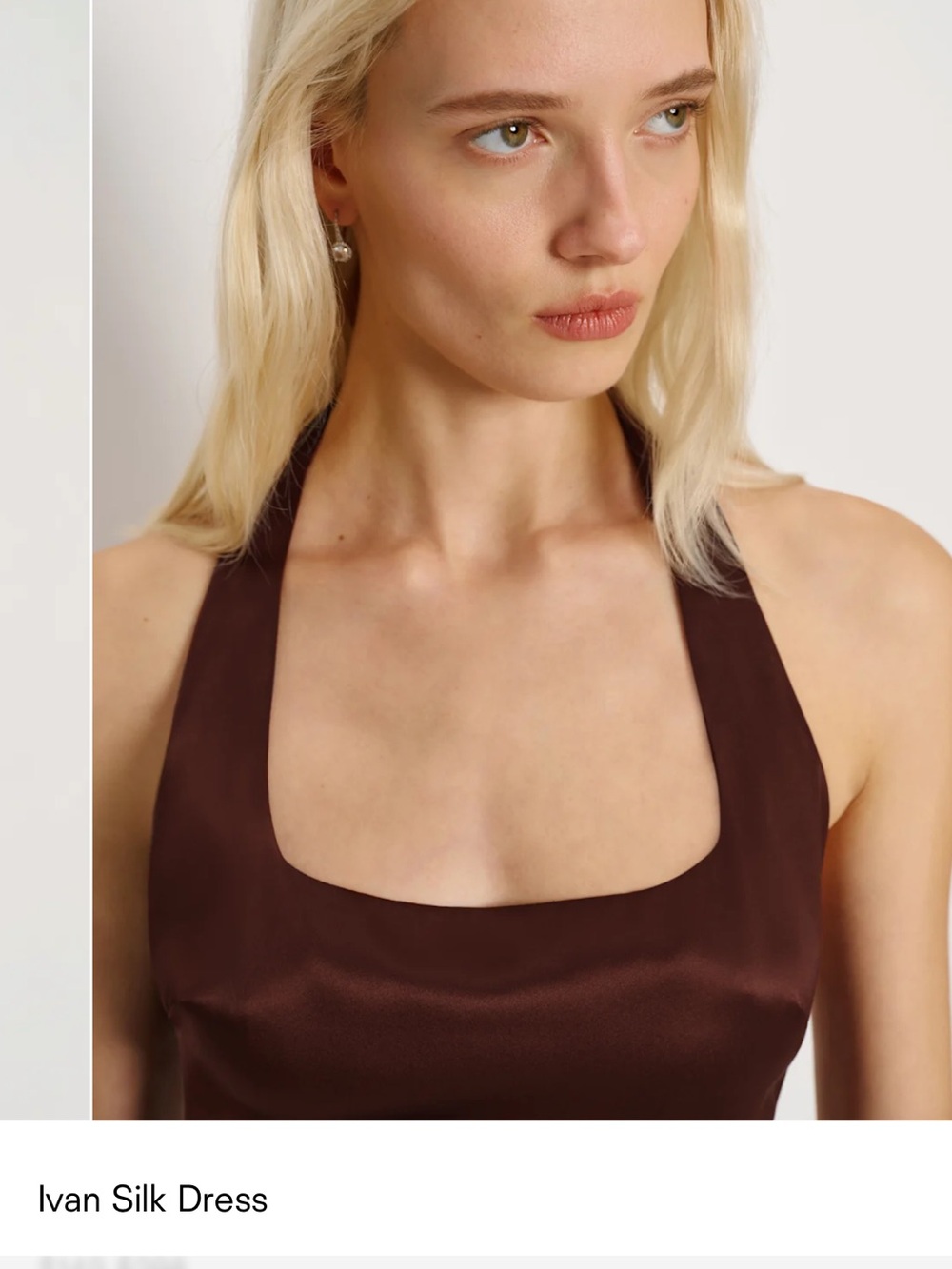 Reformation Ivan Silk Dress in Mahogany - Picture 3 of 4